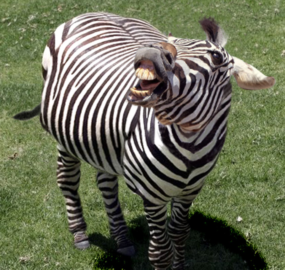 Photoshop Design by DebCam for DesignCrowd (Community Contests) | Design #9045047