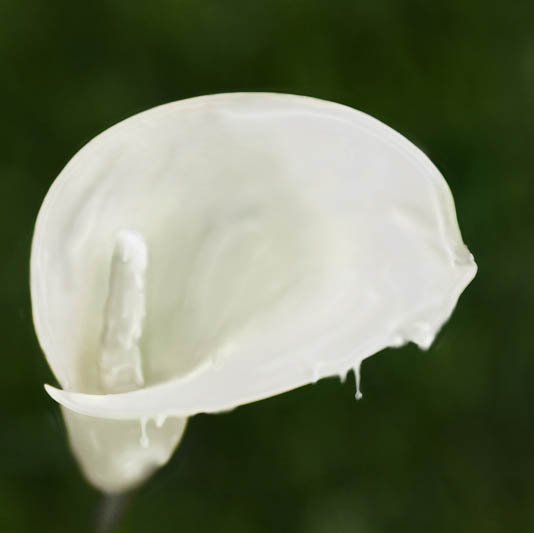 Diseño de Photoshop por Dylkan para DesignCrowd (Community Contests) | Diseño #9042562