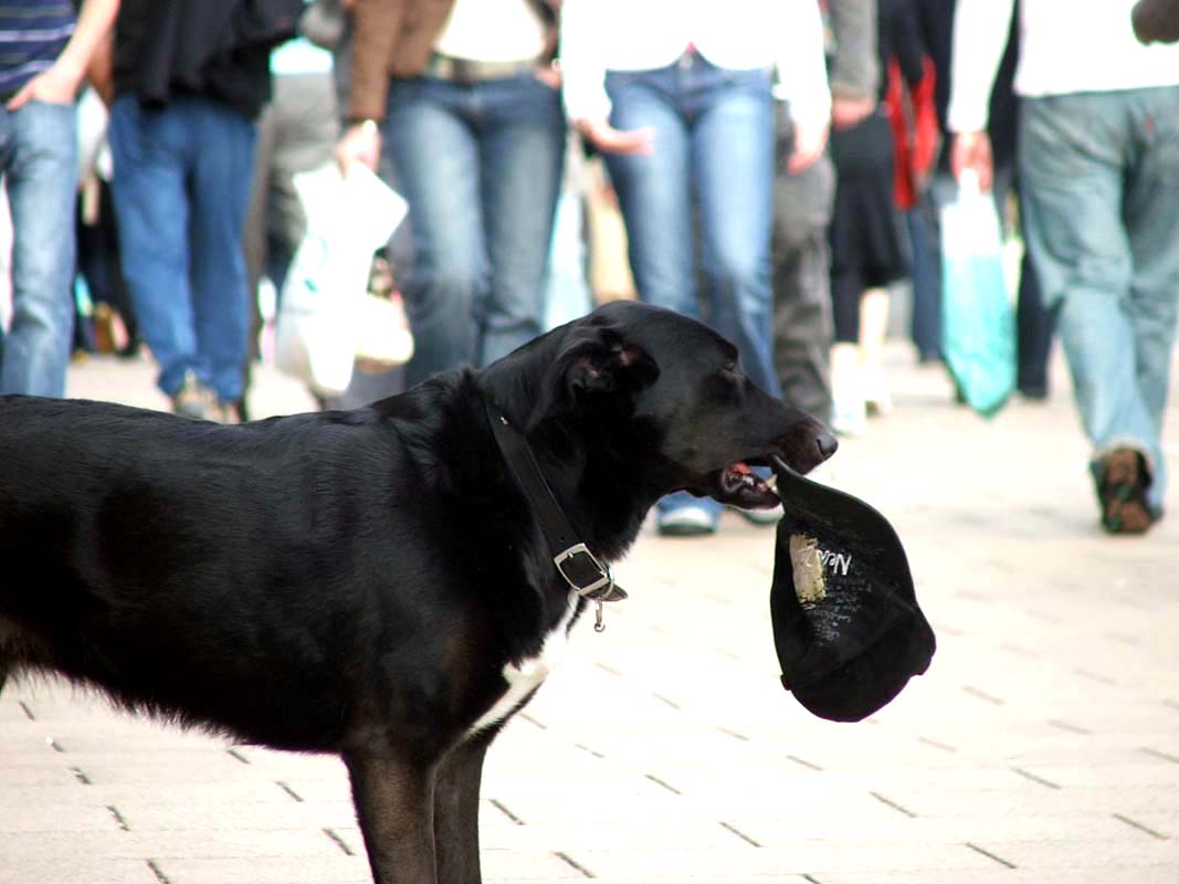 Photography by Downie for DesignCrowd (Community Contests) | Design #9048599