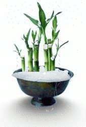 Photoshop-Design von PesoDippBeyond für DesignCrowd (Community Contests) | Design #9047813