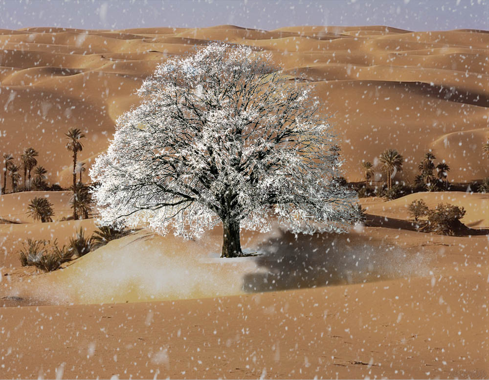 Diseño de Photoshop por PetziK para DesignCrowd (Community Contests) | Diseño #9047873