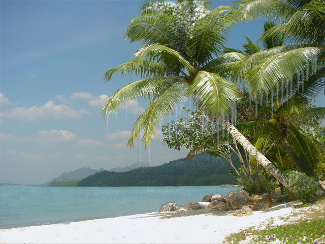 Photoshop Design by tarpan11 for DesignCrowd (Community Contests) | Design #9047878