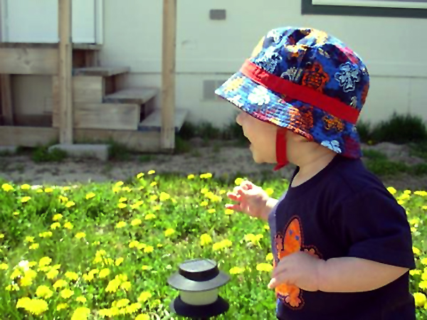 Photography by snow_angel305 for DesignCrowd (Community Contests) | Design #9048634