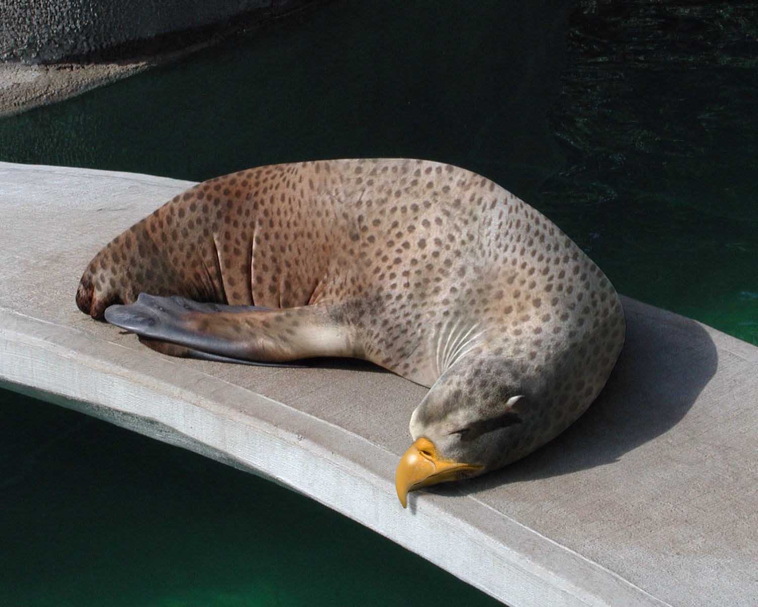 Design Photoshop par mlolsen pour DesignCrowd (Community Contests) | Design #9045778