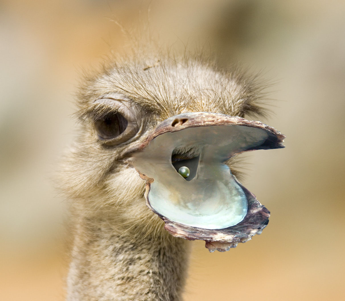 Photoshop Design by TheAuoja for DesignCrowd (Community Contests) | Design #9045783