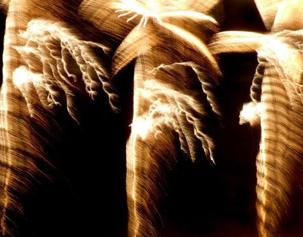 Fotografie von Flibble für DesignCrowd (Community Contests) | Design #9047990