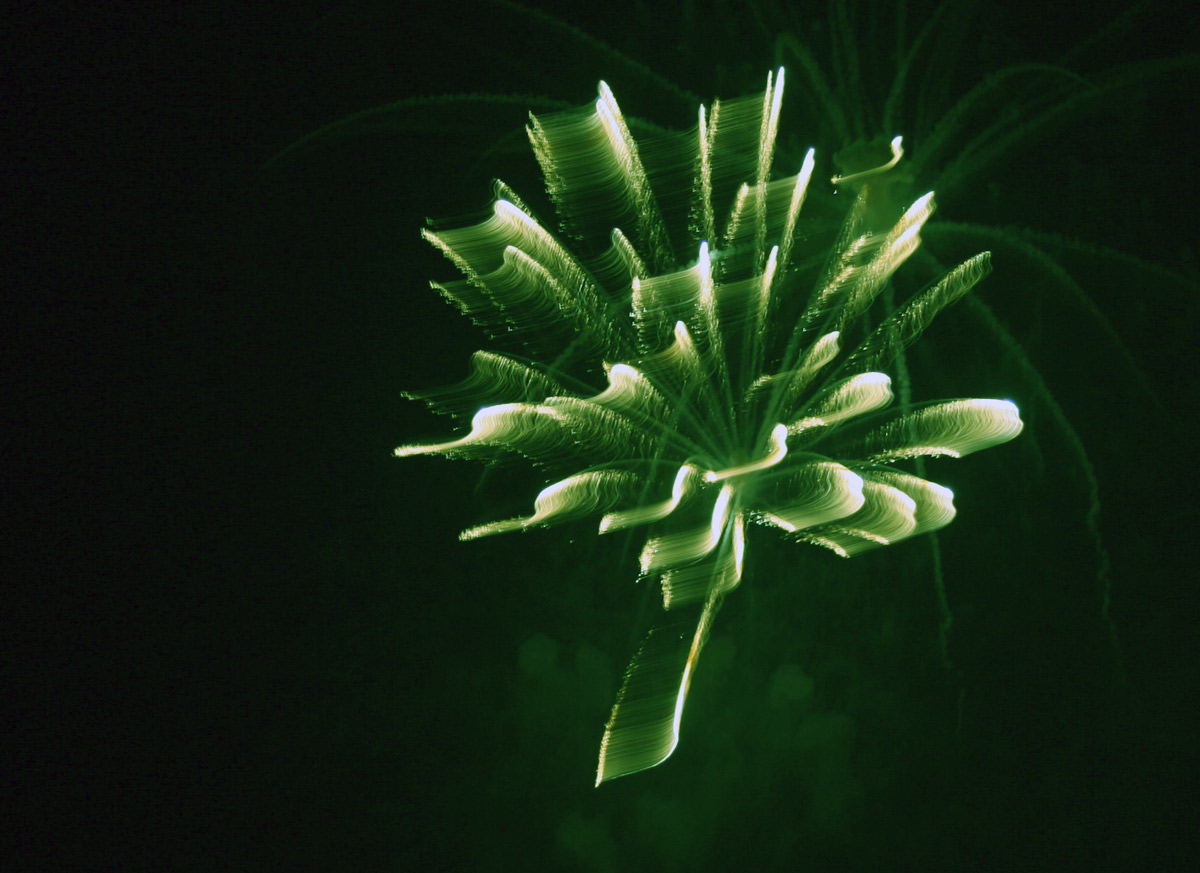 Photographie par watermarkhouse pour DesignCrowd (Community Contests) | Design #9048005