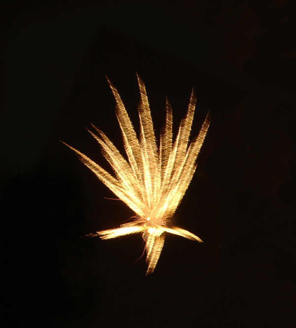 Photography by CheckMinus for DesignCrowd (Community Contests) | Design #9047963