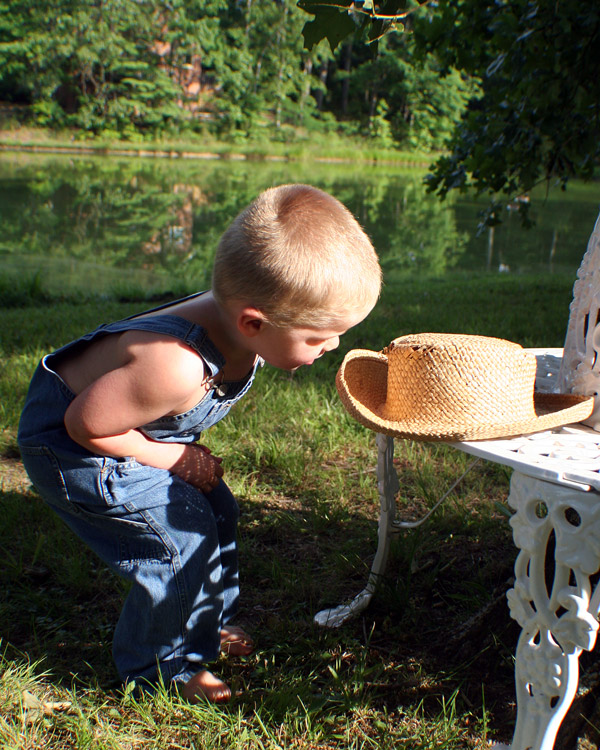 Photography by starrwalker for DesignCrowd (Community Contests) | Design #9048689