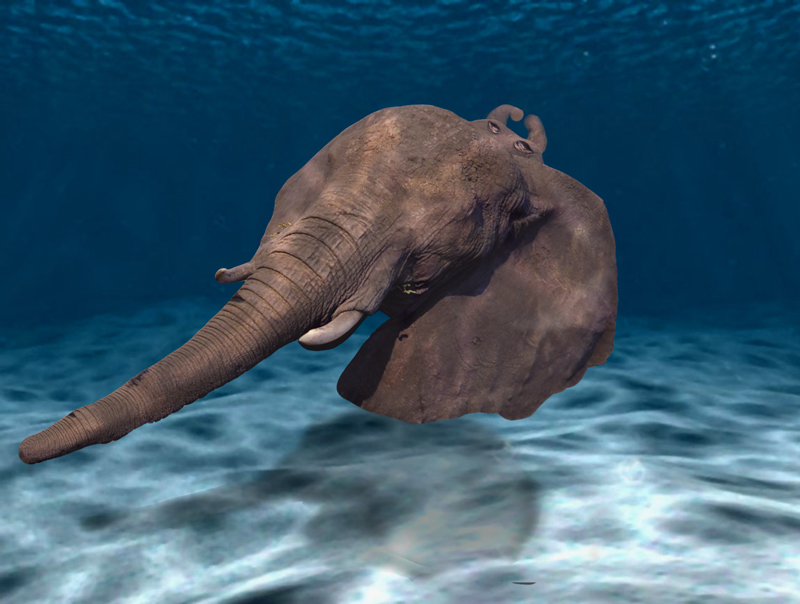 Photoshop Design by TheGr8TGatsby67 for DesignCrowd (Community Contests) | Design #9045899