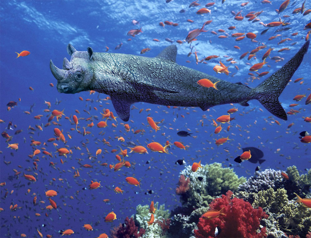 Photoshop Design by ozplasmic for DesignCrowd (Community Contests) | Design #9045862