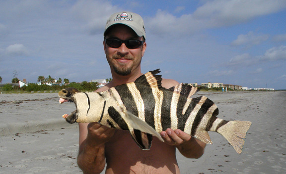 Photoshop Design by TheodlE for DesignCrowd (Community Contests) | Design #9045906