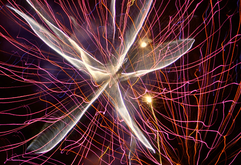 Photographie par cakeladybarb pour DesignCrowd (Community Contests) | Design #9048172