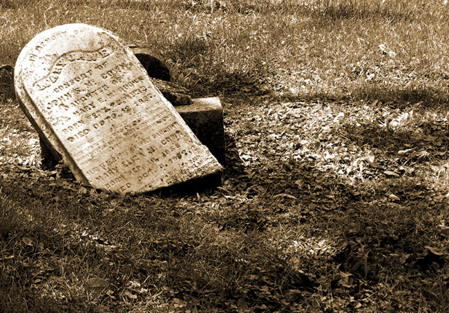 Photography by Israfelx for DesignCrowd (Community Contests) | Design #9042743