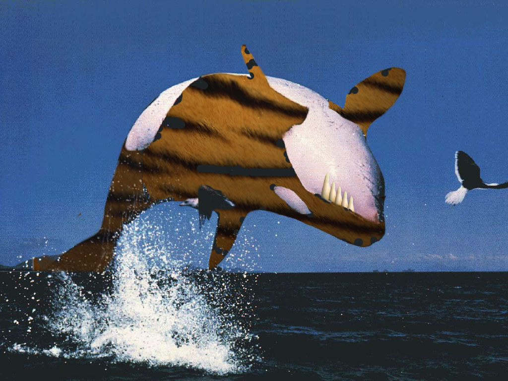 Design Photoshop par akyanyme pour DesignCrowd (Community Contests) | Design #9045887