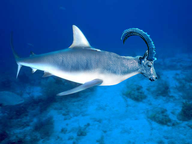 Design Photoshop par akanai pour DesignCrowd (Community Contests) | Design #9045902