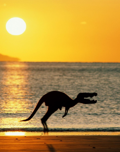 Diseño de Photoshop por wunderbar para DesignCrowd (Community Contests) | Diseño #9045936