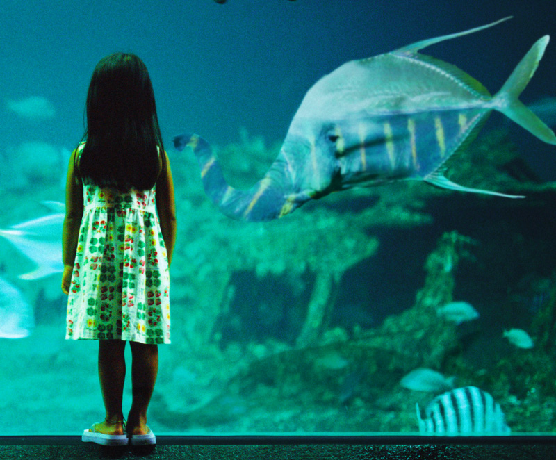 Diseño de Photoshop por worldtraveler666 para DesignCrowd (Community Contests) | Diseño #9046029