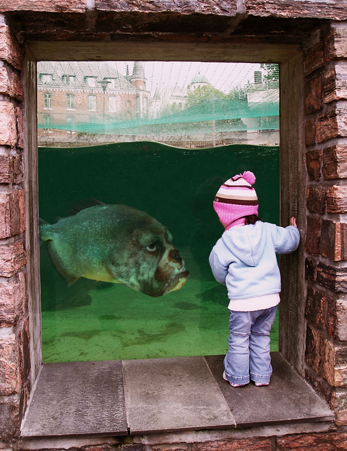 Photoshop Design by gvignes for DesignCrowd (Community Contests) | Design #9046168