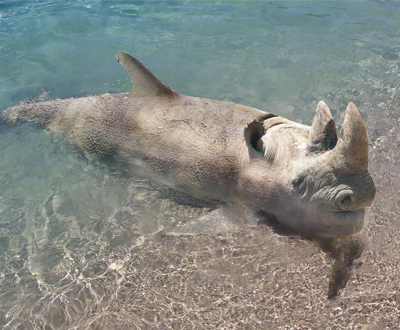 Photoshop Design by Redbull_UK for DesignCrowd (Community Contests) | Design #9046087