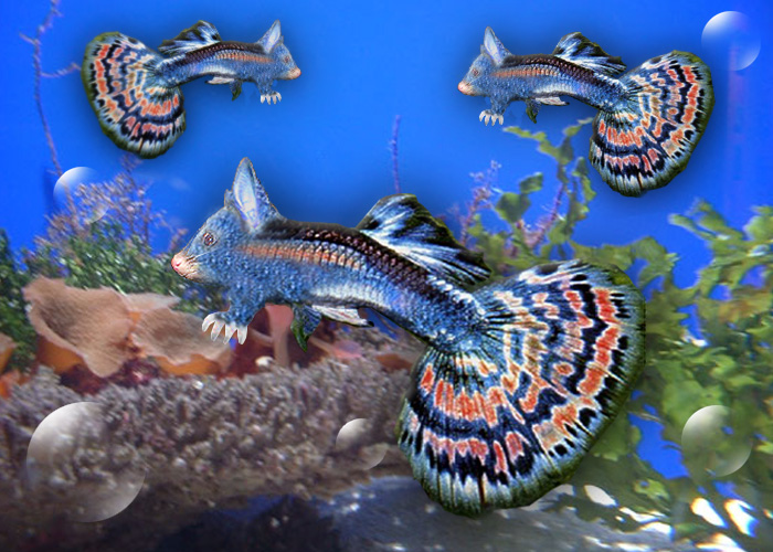 Photoshop-Design von katmgck für DesignCrowd (Community Contests) | Design #9046179