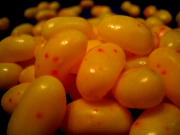 Photography by u2one1 for DesignCrowd (Community Contests) | Design #9047420