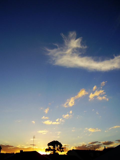 Photography by stehcw for DesignCrowd (Community Contests) | Design #9045370