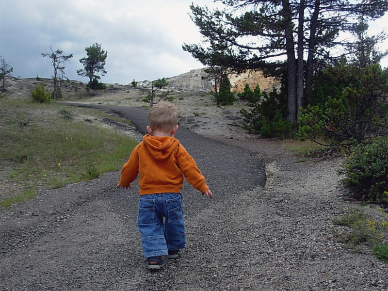 Photography by snow_angel305 for DesignCrowd (Community Contests) | Design #9045377