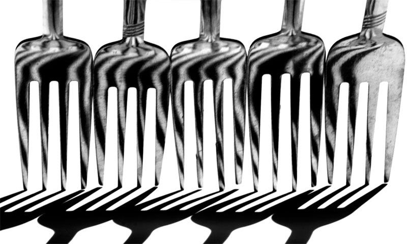 Photography by eslwinshot for DesignCrowd (Community Contests) | Design #9042763