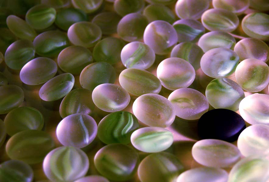 Photography by lindon for DesignCrowd (Community Contests) | Design #9042962