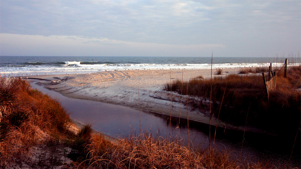 Fotografía por mare53 para DesignCrowd (Community Contests) | Diseño #9045386