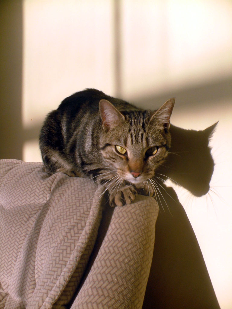 Photography by Downie for DesignCrowd (Community Contests) | Design #9042930