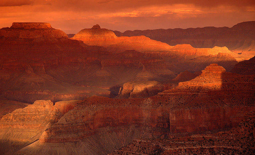 Photography by MisterSir for DesignCrowd (Community Contests) | Design #9042953