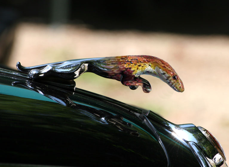 Photoshop Design by albedimus for DesignCrowd (Community Contests) | Design #9043311