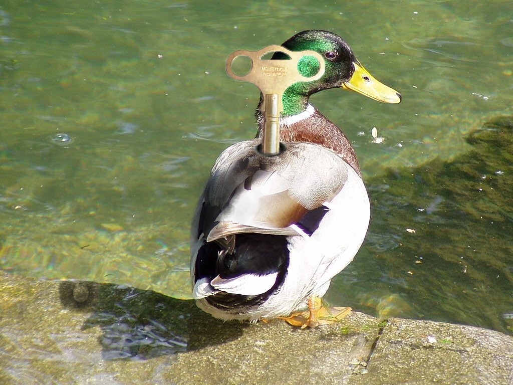 Diseño de Photoshop por Spudley99 para DesignCrowd (Community Contests) | Diseño #9043333