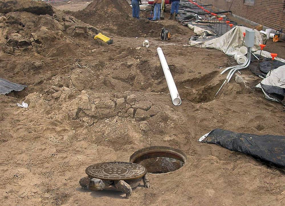 Photoshop Design by MarvLS Graphics for DesignCrowd (Community Contests) | Design #9043351