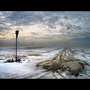 Photography by elchkuh