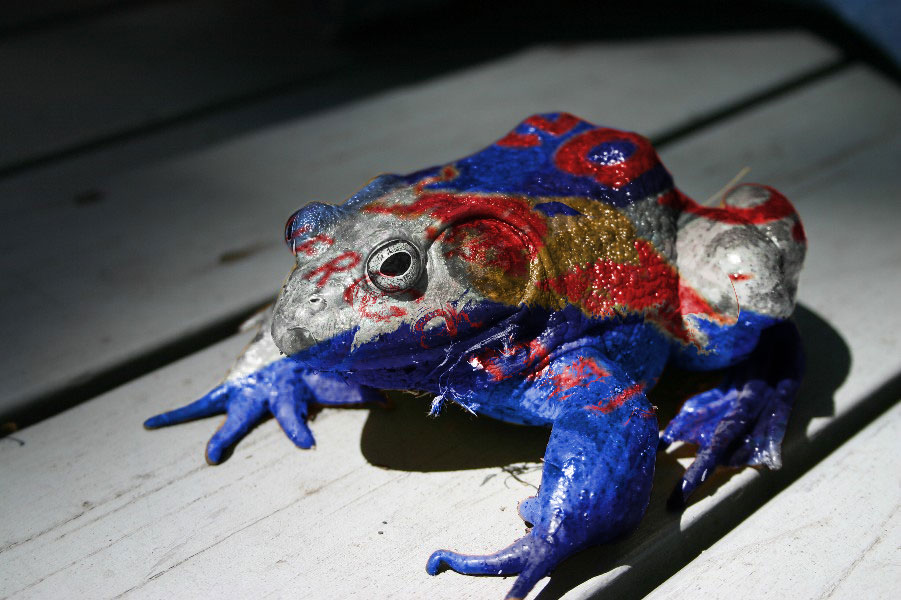 Diseño de Photoshop por JuzzyDee para DesignCrowd (Community Contests) | Diseño #9043487