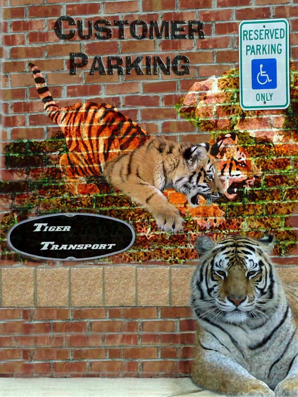 Photoshop Design by Tessalynne for DesignCrowd (Community Contests) | Design #9043577