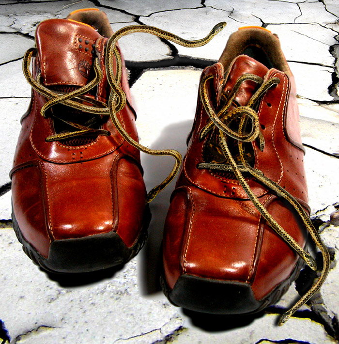 Photoshop Design by bananasfritters for DesignCrowd (Community Contests) | Design #9043552