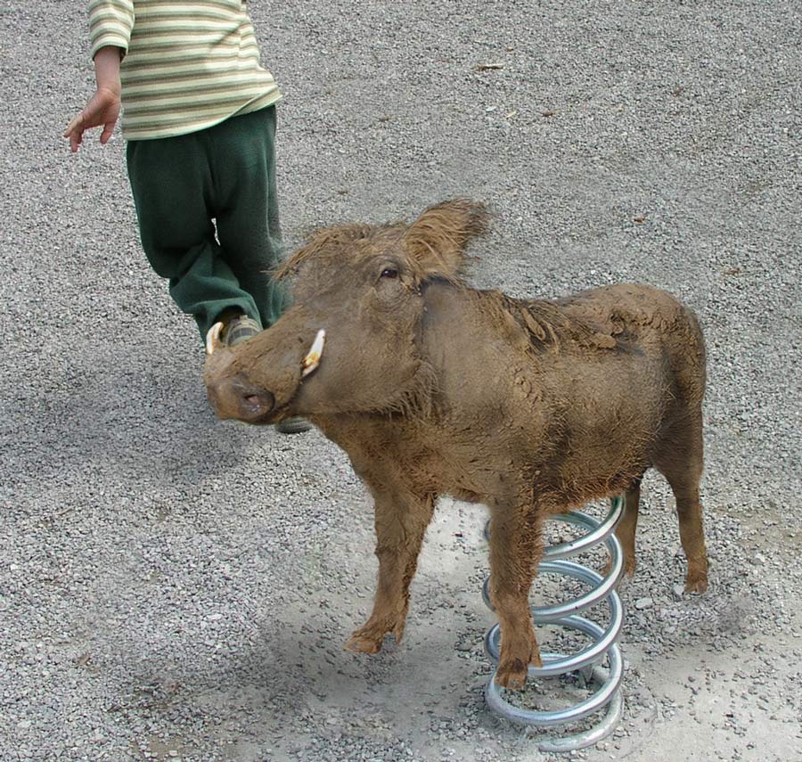 Photoshop-Design von cleareyes für DesignCrowd (Community Contests) | Design #9043471