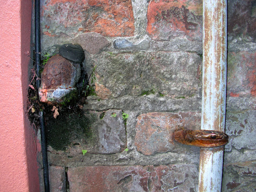 Photoshop Design by siennablue for DesignCrowd (Community Contests) | Design #9043484