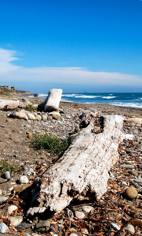 Photography by tlovesd for DesignCrowd (Community Contests) | Design #9045443