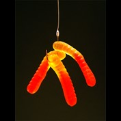 Photography by itsmineillshare