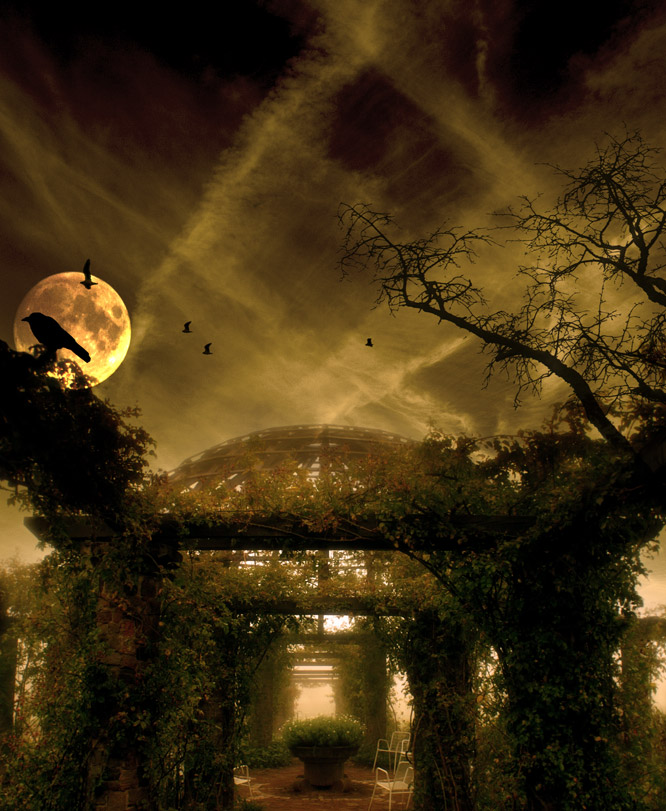 Photography by markusuetz for DesignCrowd (Community Contests) | Design #9046397