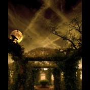 Photography by markusuetz