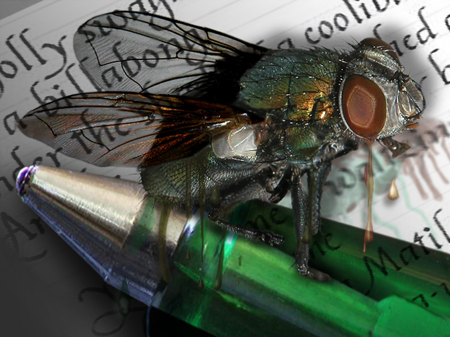 Photoshop Design by EyEars for DesignCrowd (Community Contests) | Design #9045895