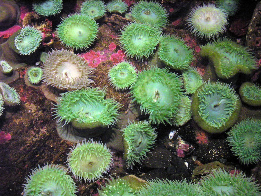 Photographie par klxner pour DesignCrowd (Community Contests) | Design #9040849