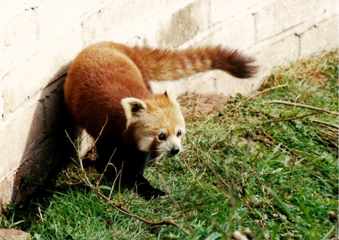 Photography by ada1621 for DesignCrowd (Community Contests) | Design #9046394