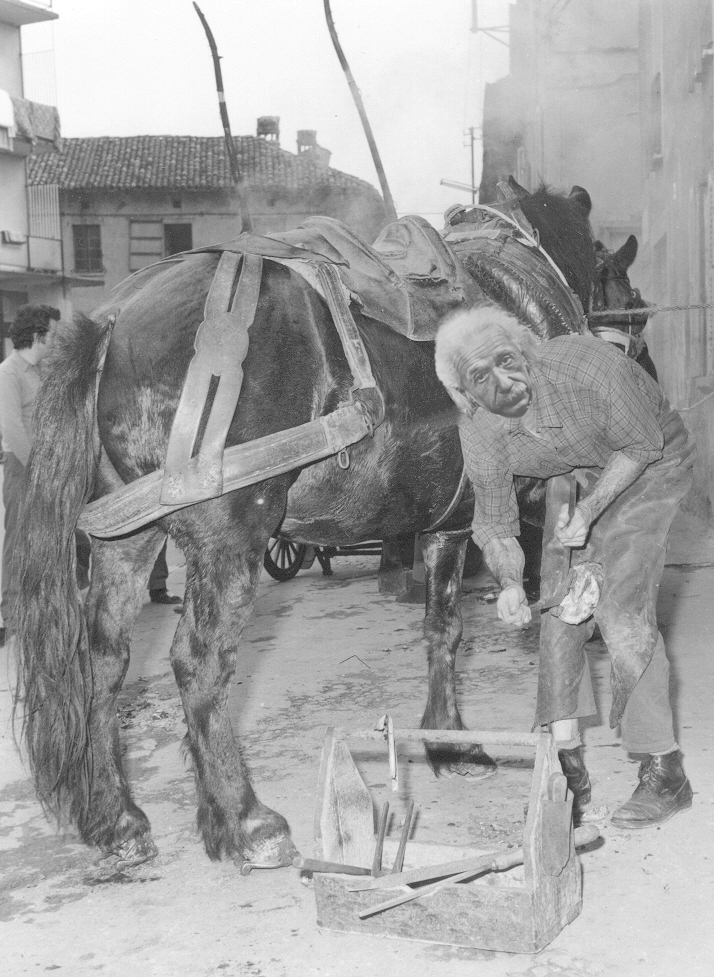 Photoshop Design by Paxius for DesignCrowd (Community Contests) | Design #9046364